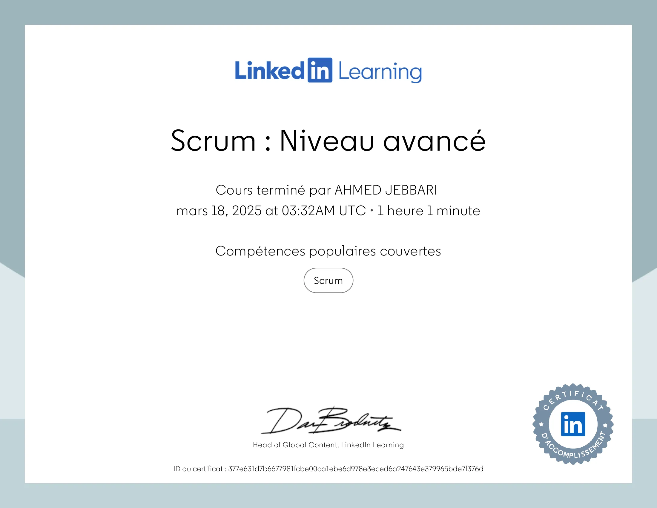Scrum Master Avancé